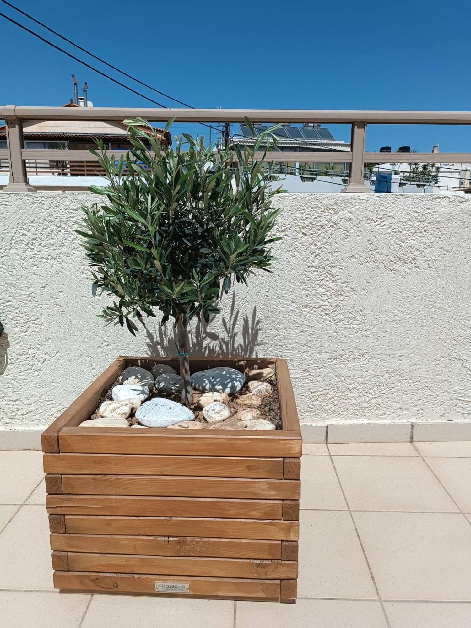 Apartment Superior Savvas By The Sea *